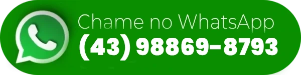 Novo-Projeto-2024-08-31T202556.303-1024x258-1-1-4-1 (1) (1)
